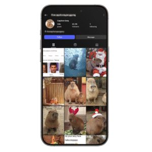 45k Capybaras Instagram Account for Sale