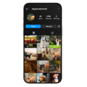 132k Pets Instagram Account for Sale