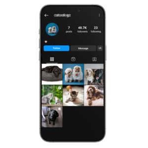 48k Pets Instagram Account for Sale