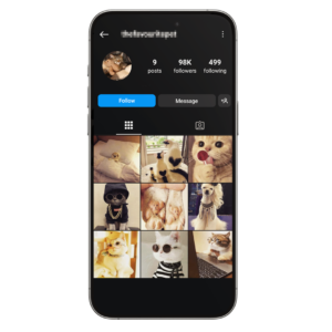Aged 98k Cats Instagram Account for Sale