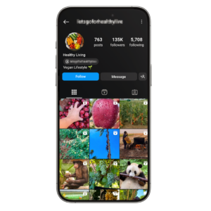 135k Fruits & Vegan Instagram Account for Sale