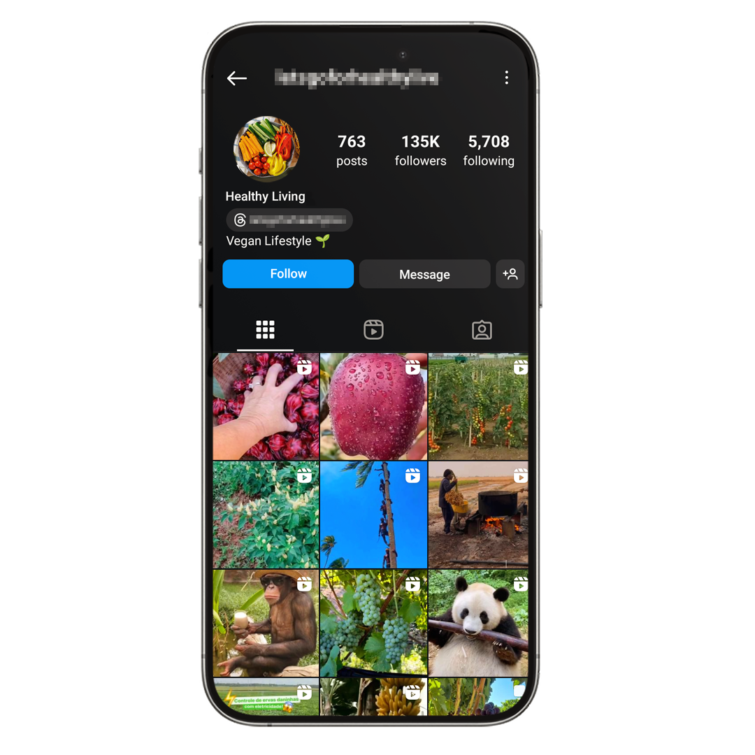 135k Fruits & Vegan Instagram Account for Sale